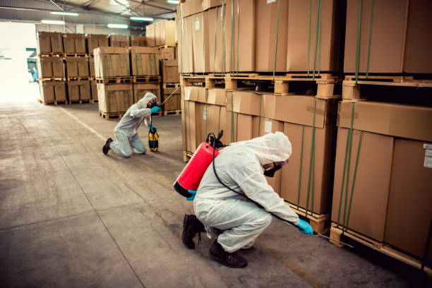 Best Wasp Removal Services  in Ardmore, TN