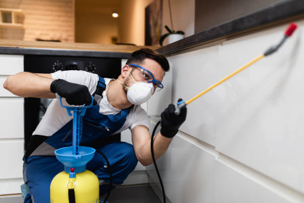 Best Pest Removal Services  in Ardmore, TN