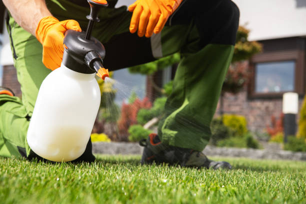 Best Wildlife Control Services  in Ardmore, TN