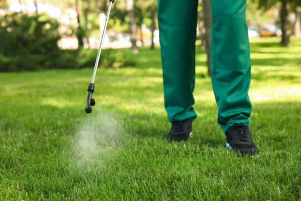 Best Commercial Pest Control Services  in Ardmore, TN