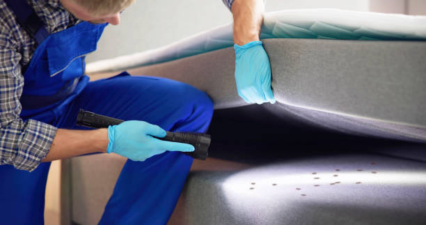Best Pest Control Treatment  in Ardmore, TN