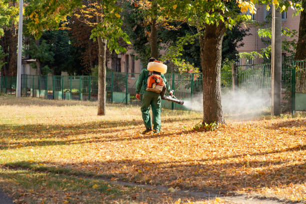 Best Emergency Pest Control  in Ardmore, TN