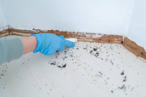Ardmore, TN Pest Control Company